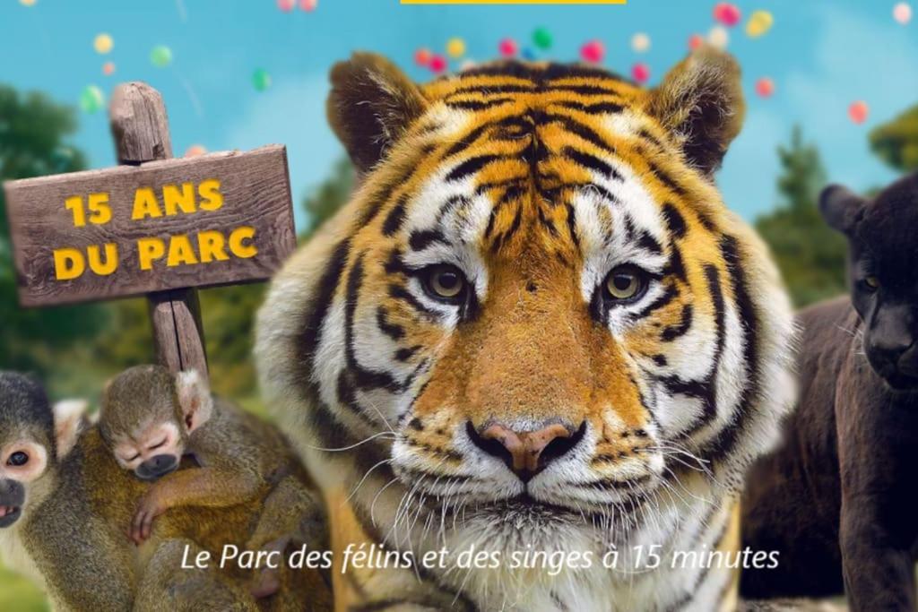 Cocon A La Campagne - Disney 20 Min - Paris 40 Min - 2 Terrasses Dammartin-sur-Tigeaux Eksteriør billede